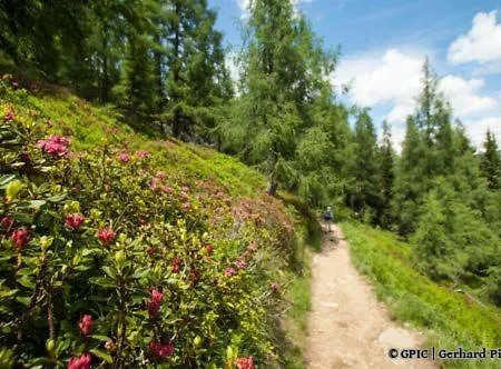 Bella Vista Apartman